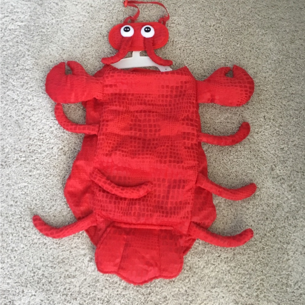 Lobster Pet Costume